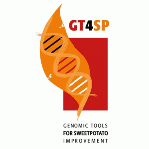 GT4SP Genomic Tools for Sweetpotato Imporovement